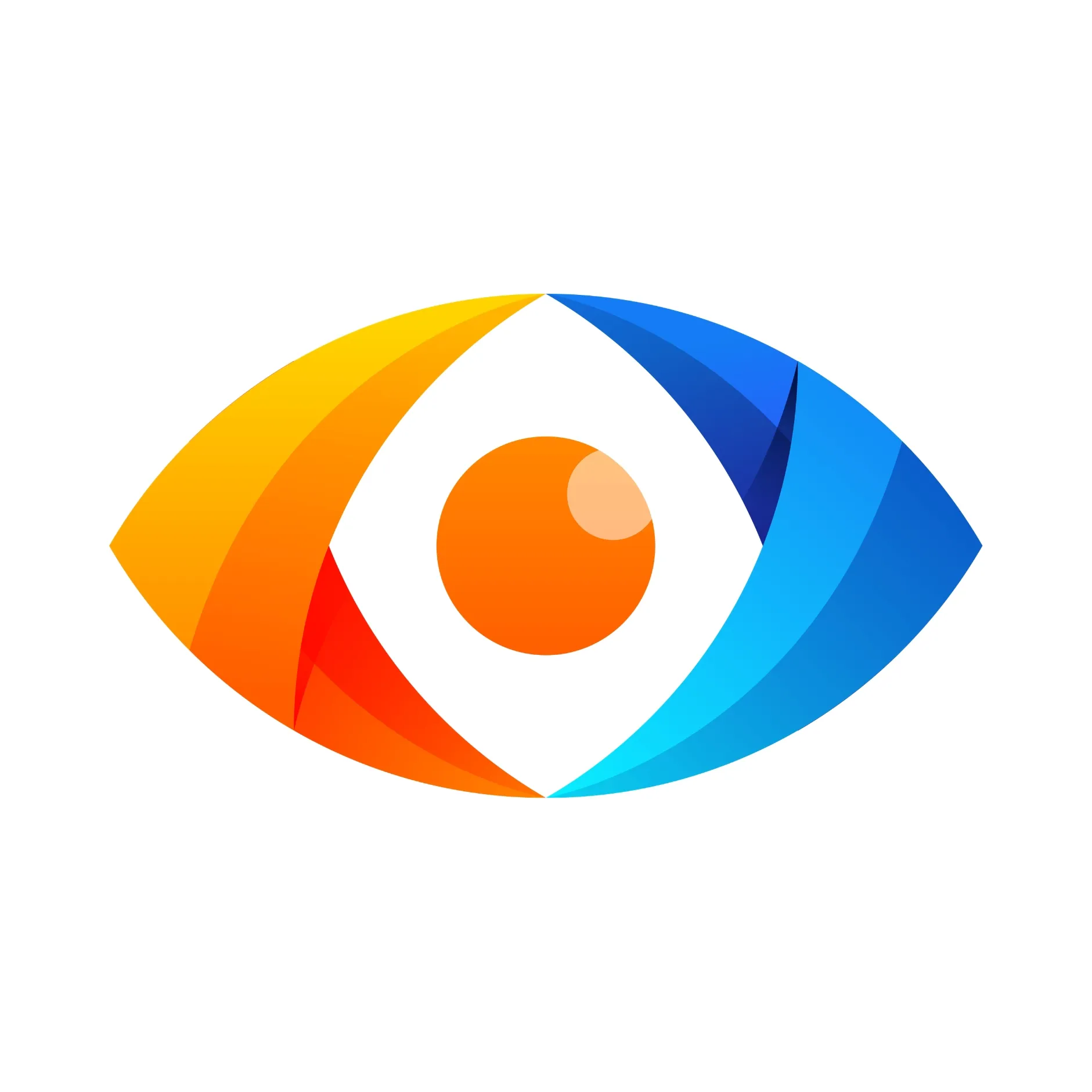 vision_pic